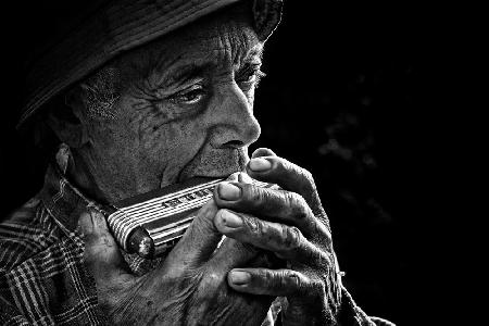 The harmonica master