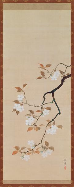 Hanging Scroll Depicting Cherry Blossoms, from A Triptych of the Three Seasons, Japanese, early 19th