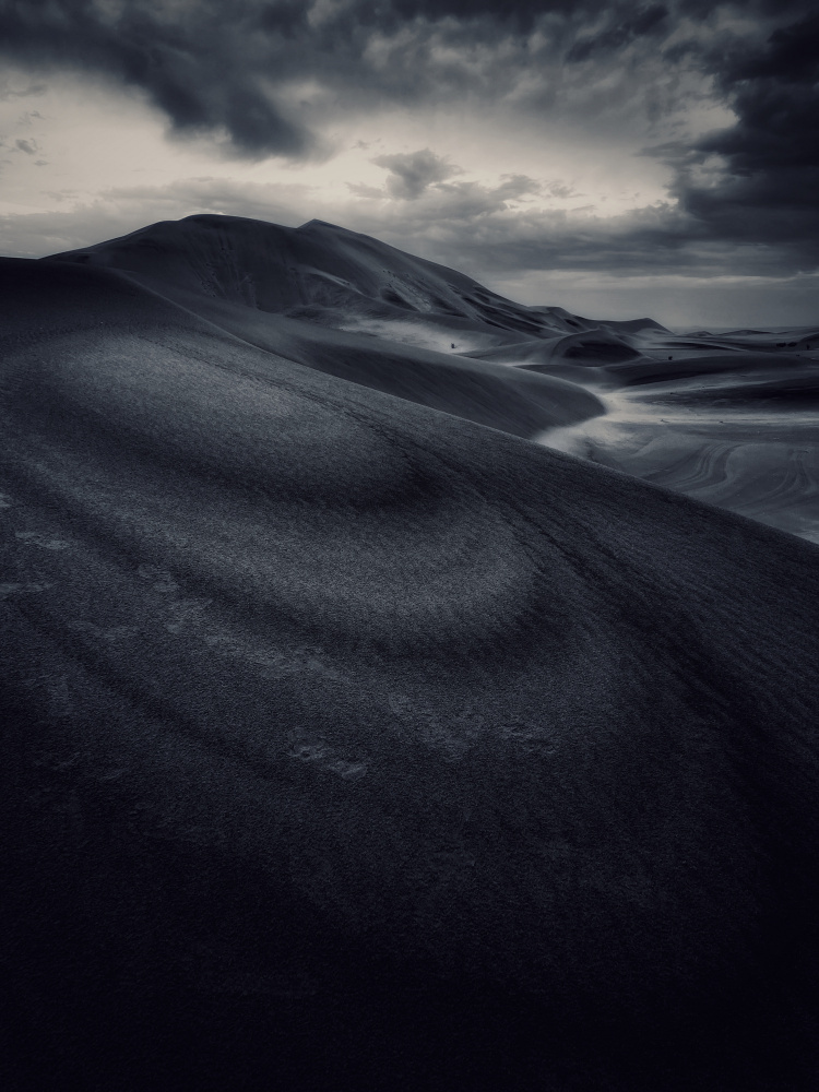 black and white dune van Saleem G Alfidi