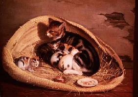 Cat with Her Kittens in a Basket