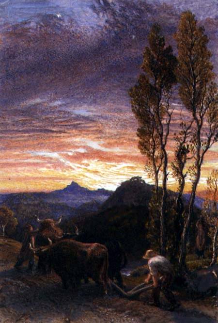 Oxen Ploughing at Sunset van Samuel Palmer