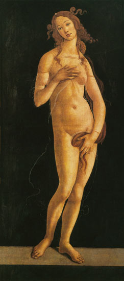 Venus van Sandro Botticelli