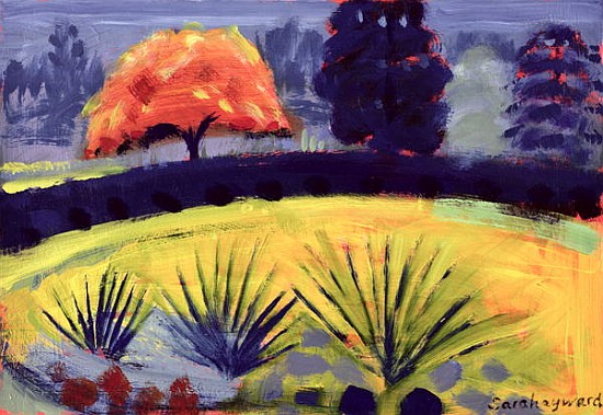 Botanical Gardens, Autumn (oil on card)  van Sara  Hayward