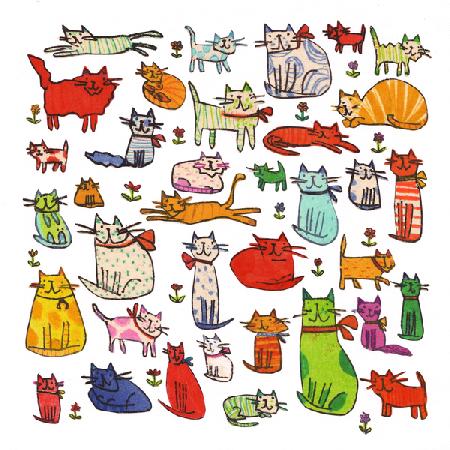 Thirty eight cats