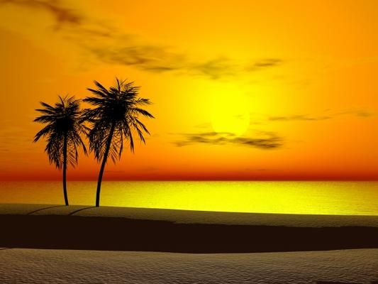 Tropical sunrise van Sarah Holmlund