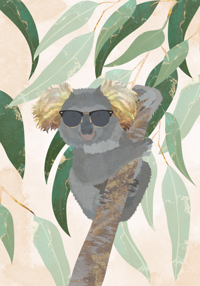 Cool Koala van Sarah Manovski