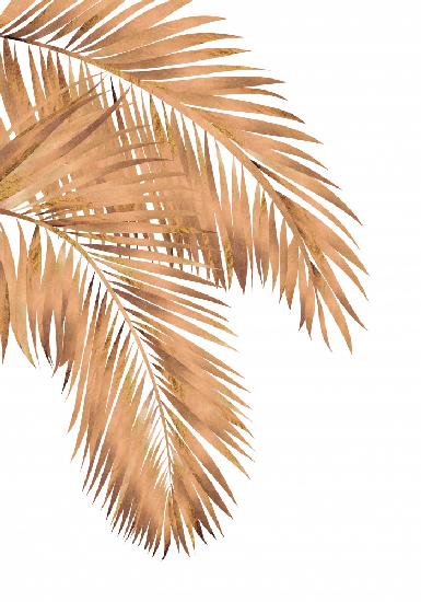 Golden palms white copper 1