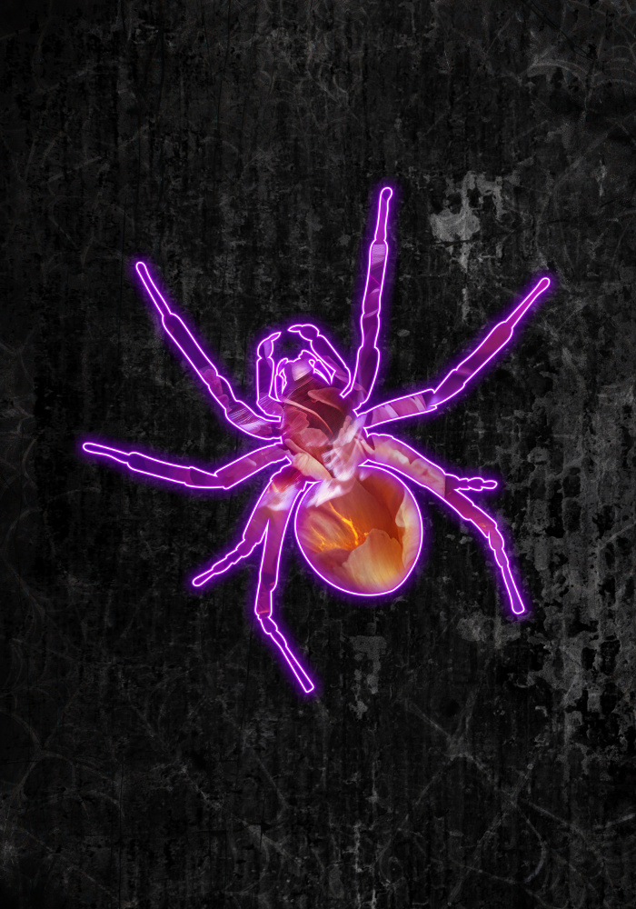 Neon halloween spider van Sarah Manovski