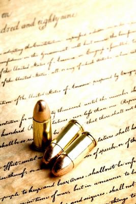 bullets on constitution van Sascha Burkard