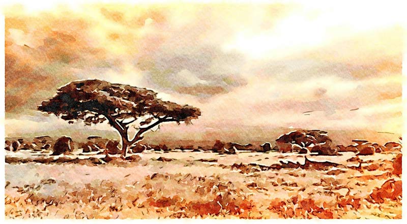 Afrikanische Landschaft van Saskia Ben Jemaa