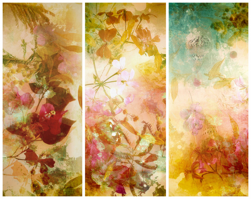 Flower abstractions  with mimosa, shells ,bougainvillea  floating in water.. Trilogy . van Saskia Dingemans