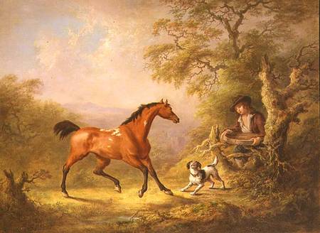 A Groom Feeding a Horse van Sawrey Gilpin