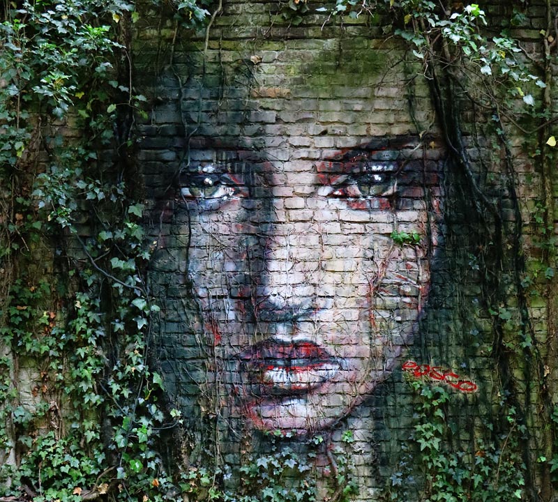 A fairy is looking through the ivy branches van Frank Schröter (Rosco!)