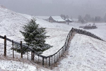 Already Winter in Bucovina
