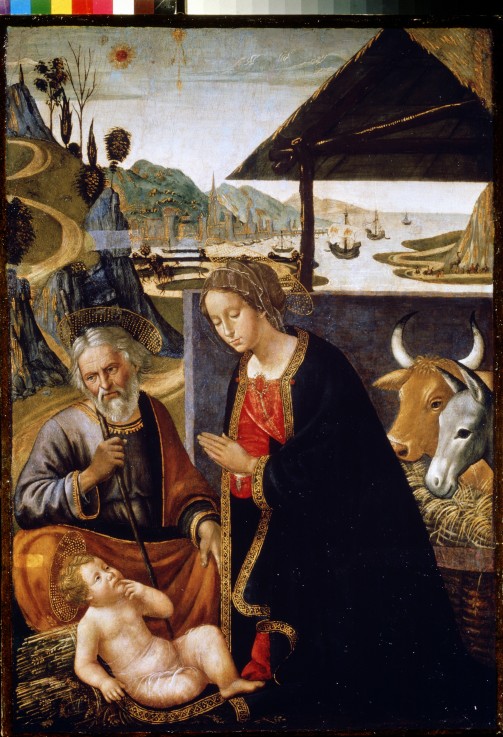 The Nativity of Christ van Sebastiano Mainardi