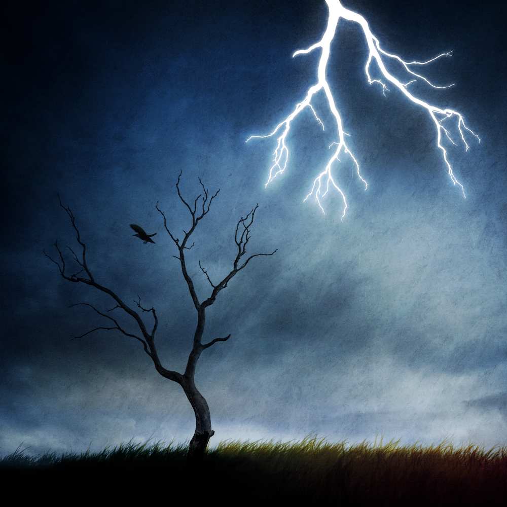 lightning tree van Sebastien DEL GROSSO