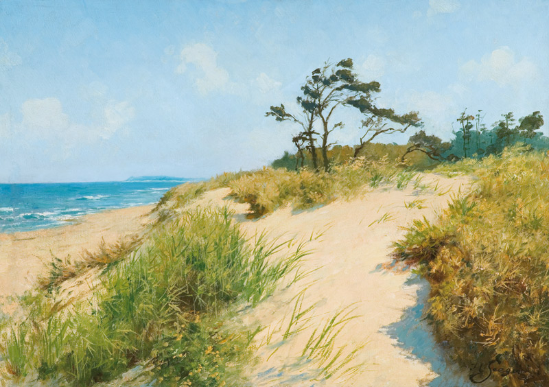 strand met duinen van Hermann Seeger