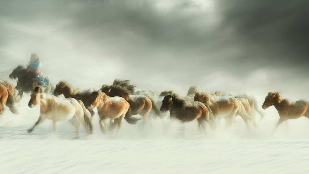 Horses gallop van Shu-Guang Yang
