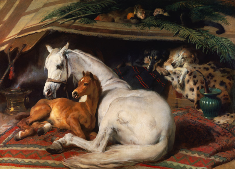 Das Araber - Fohlen van Sir Edwin Henry Landseer