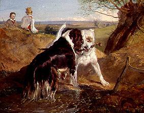 Zwei Hunde im Kampf um ein Stöckchen van Sir Edwin Henry Landseer