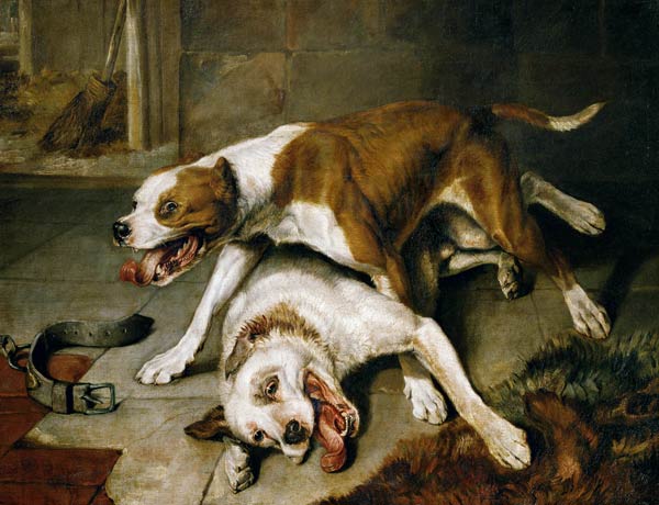 Fighting dogs van Sir Edwin Henry Landseer