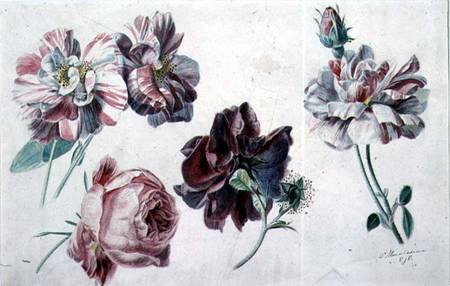 Roses van Sir Lawrence Alma-Tadema