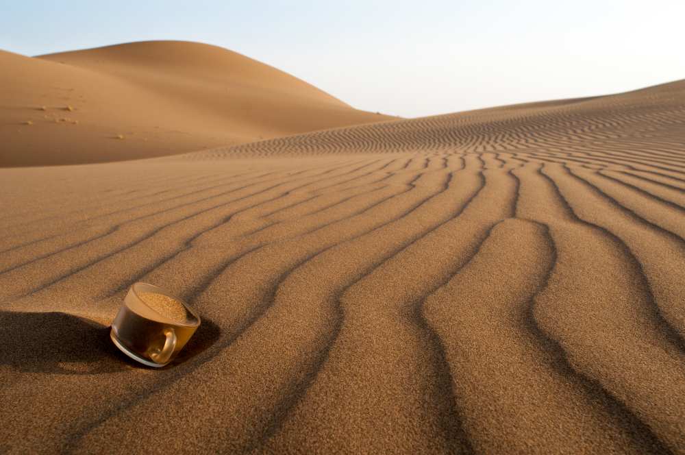 The thirsty desert. van Soheil Soheily