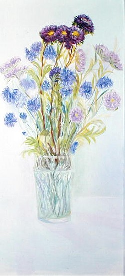 Cornflowers and Asters, 1997 (oil on board)  van Sophia  Elliot