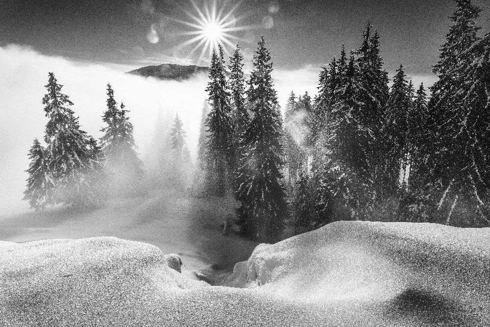 A Winter Tale ! van Sorin Onisor