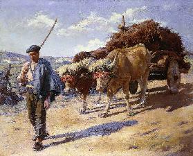 Bauer mit Ochsengespann, Ascain (Peasant with his Bullock Cart, Ascain)