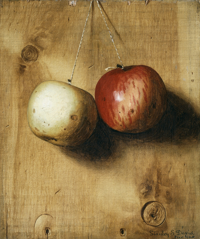 Zwei Äpfel. van Stanley S. David