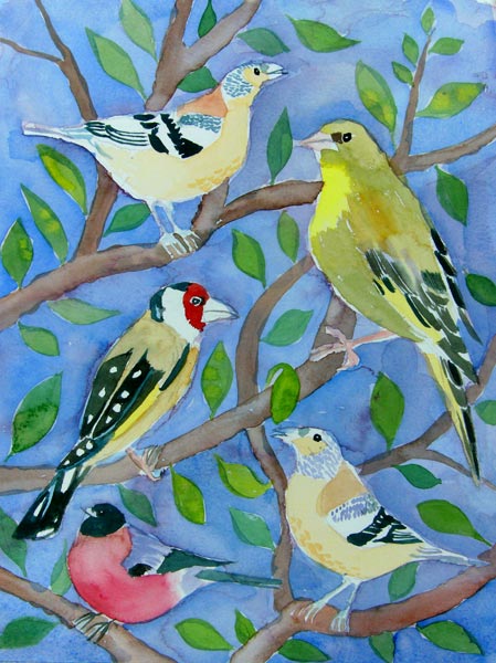 Finches van Mary Stubberfield