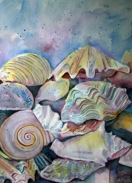 Shells van Mary Stubberfield