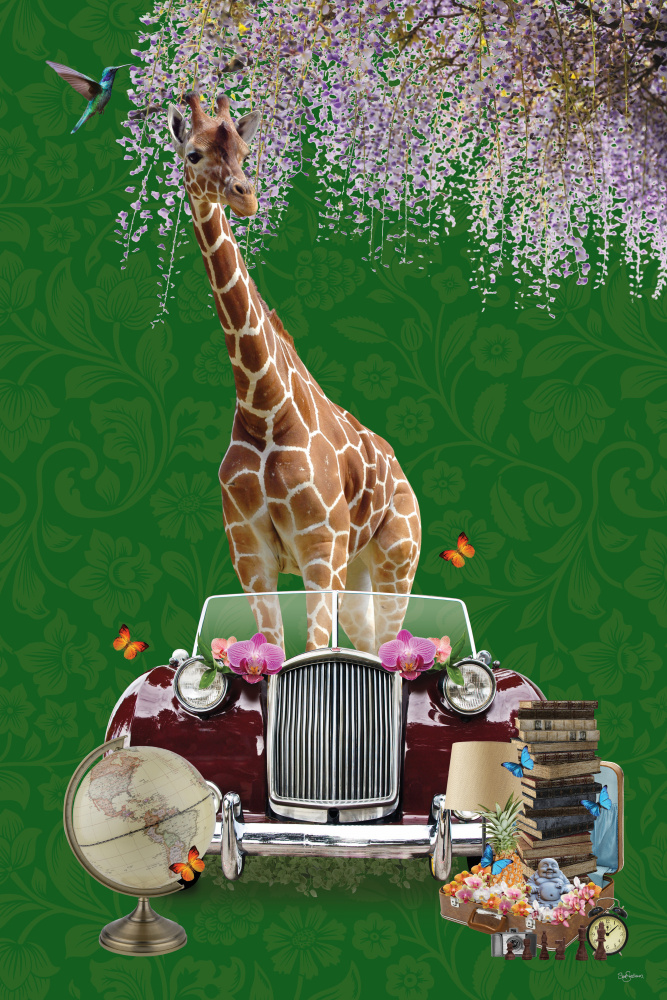 Giraffe will Travel van Sue Skellern