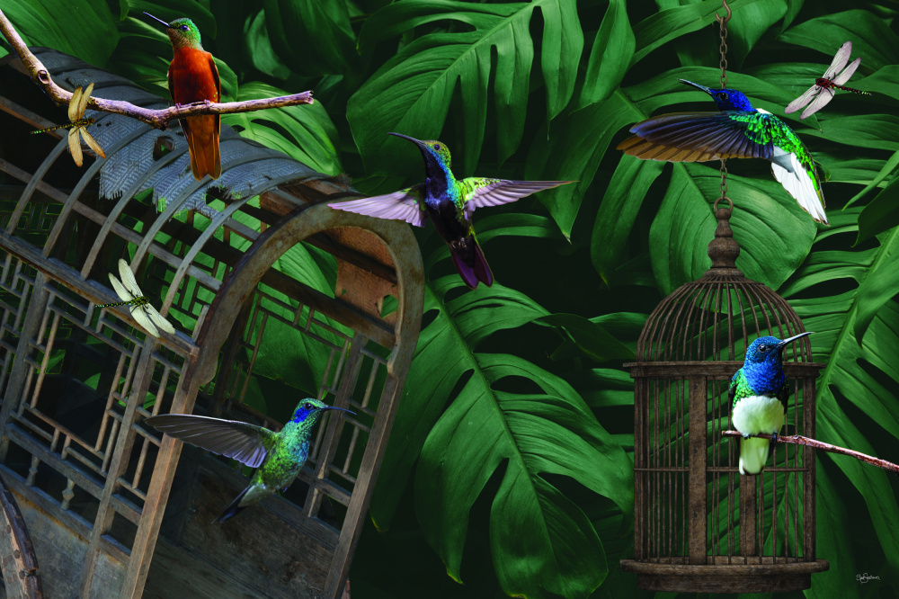 Tropical Hummingbirds van Sue Skellern