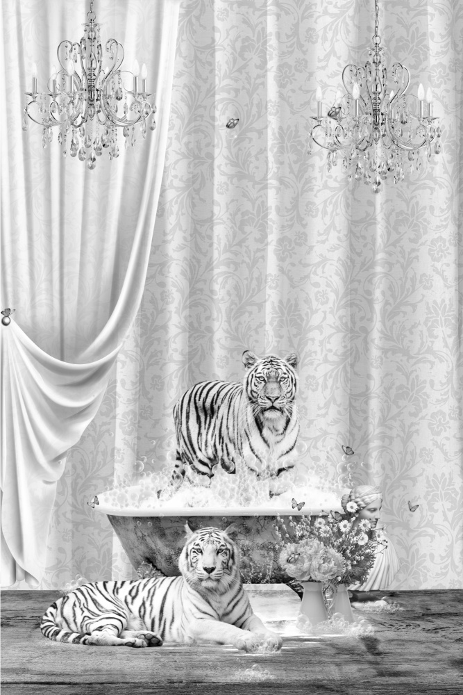 White Tigers &amp; Bubbles Black &amp; White van Sue Skellern