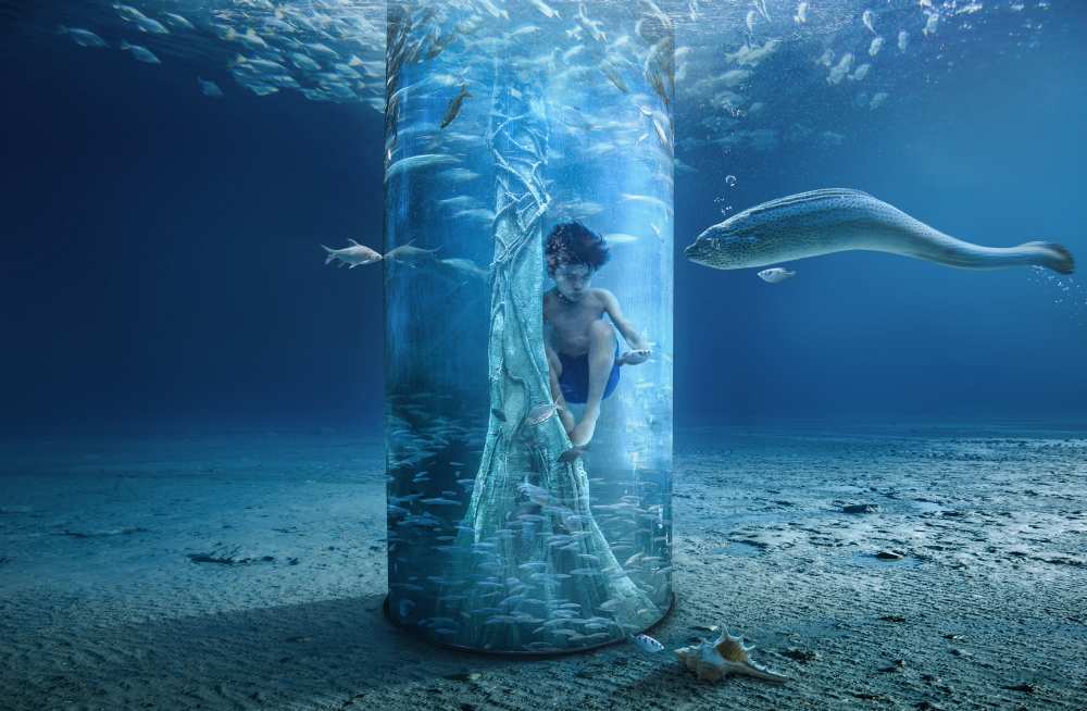 Underwater van sulaiman almawash