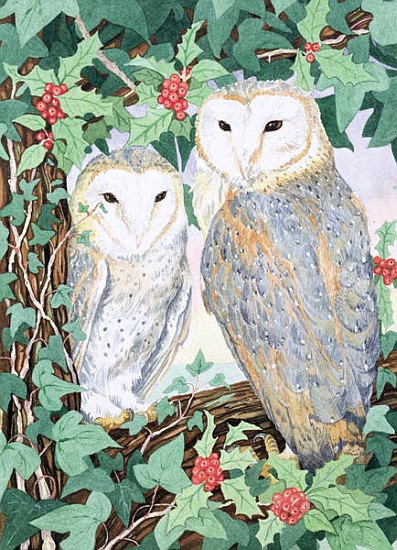 Barn Owls  van Suzanne  Bailey