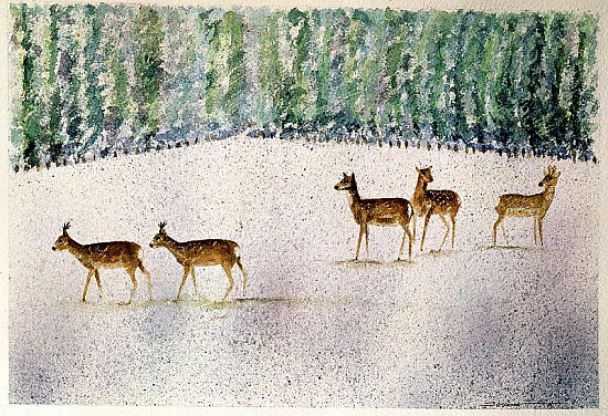 Deer in Snow  van Suzi  Kennett