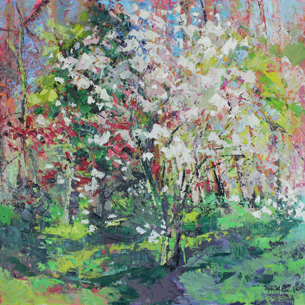 Blossom in the Wood van Sylvia  Paul