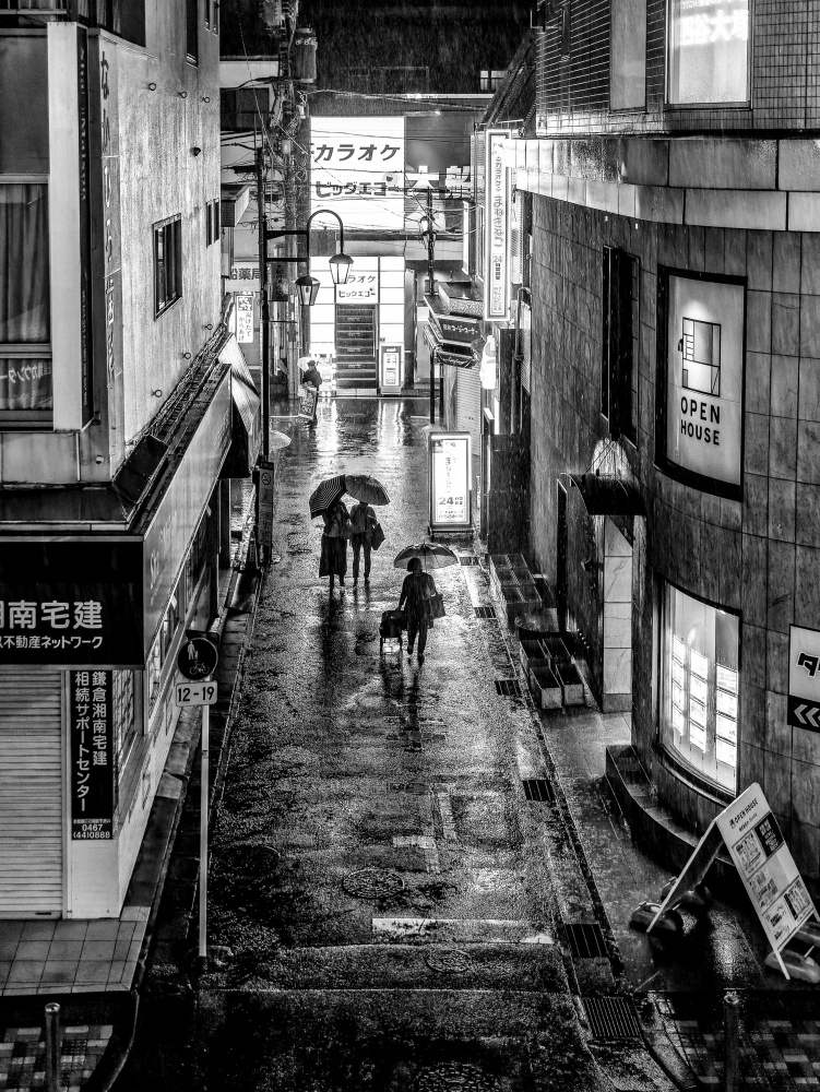 Hard Rain II van Takashi Hasegawa