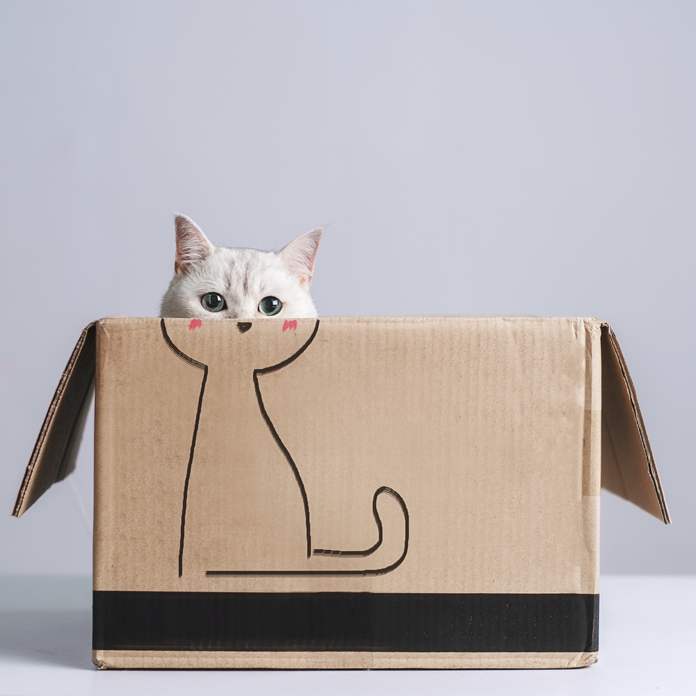 Cat in the box van Terry F