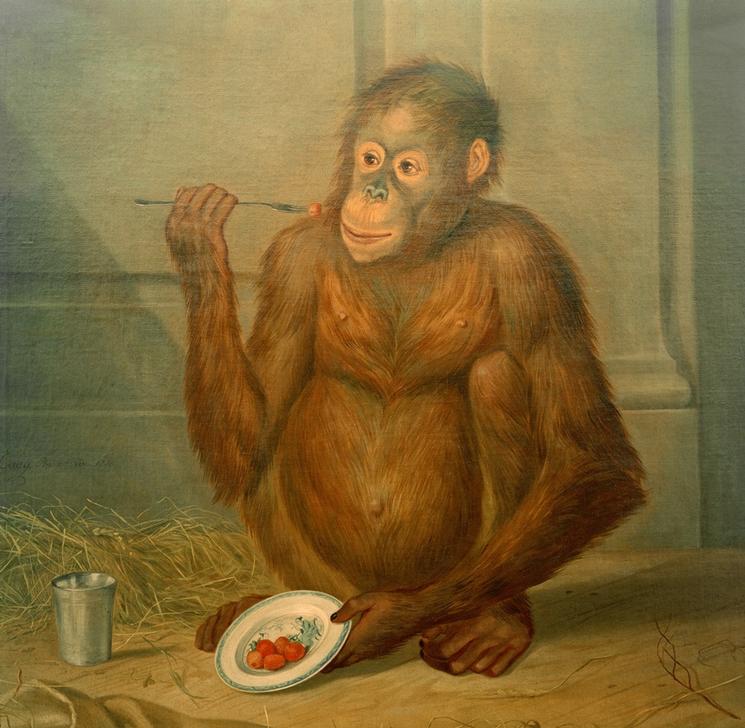 Orang-Utan, Erdbeeren fressend van Tethart Philipp Christian Haag