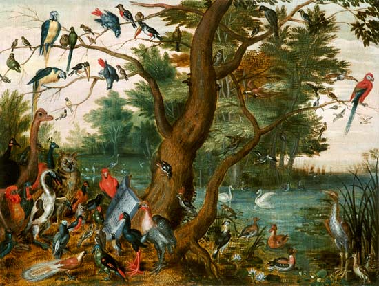 Concert of Birds (panel) van the Elder Kessel