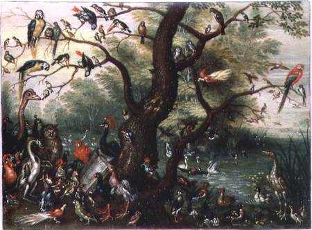 Concert of Birds van the Elder Kessel