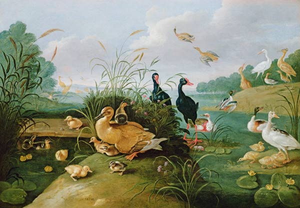 Decorative fowl and ducklings van the Elder Kessel