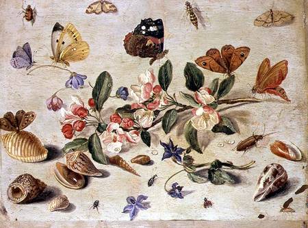 A Study of Flowers and Insects van the Elder Kessel