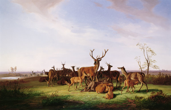 A Herd of Deer in a Sunlit Pasture van Theodor Julius Kiellerup