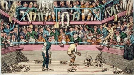 The Celebrated Dog Billy Killing 100 Rats at the Westminster Pit, from 'Anecdotes, Original and Sele van Theodore Lane