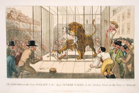 The Fight between the Lion Wallace and the Dogs Tinker and Ball in the Factory Yard in the Town of W van Theodore Lane